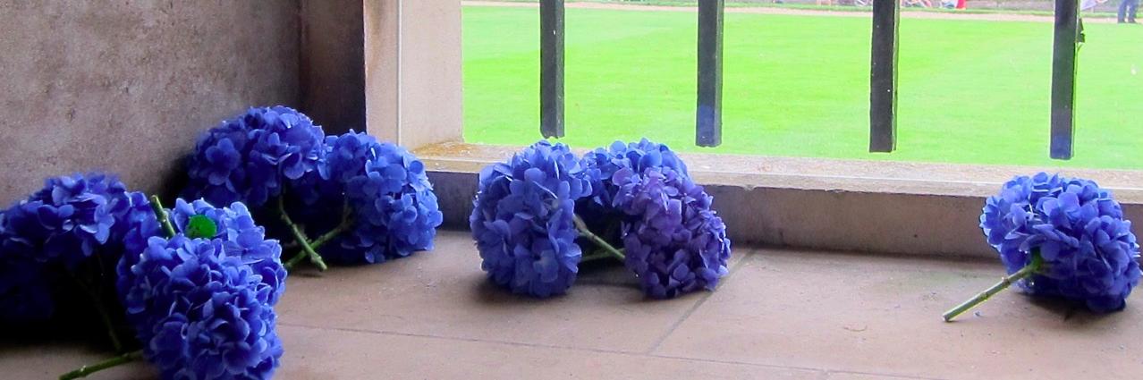 Kimberly Schumacher banner