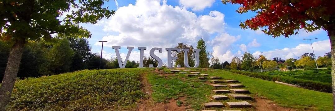 ViseuBi82's profile banner image