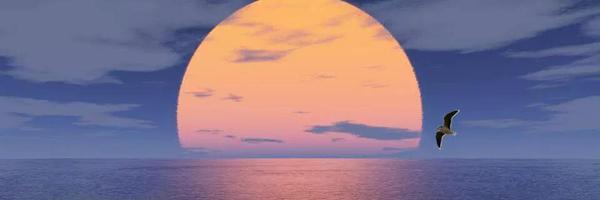 humabatool91's profile banner image