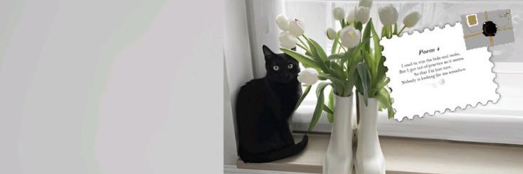 ⌘ banner