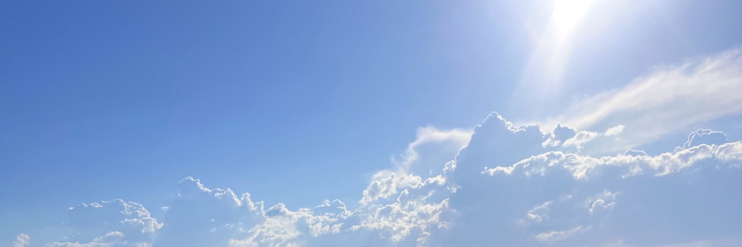 Tony S banner