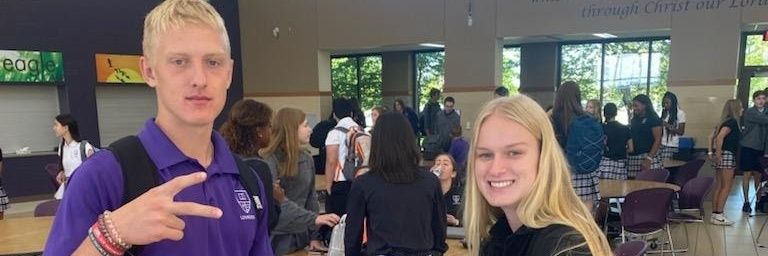 sillychickens's profile banner image