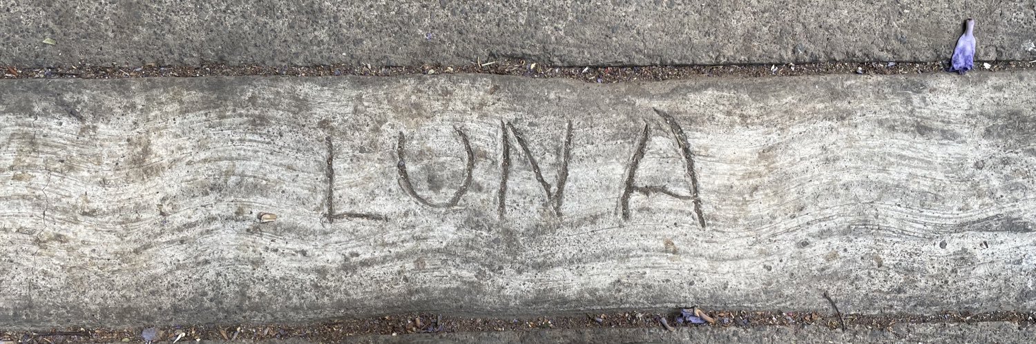 ToMonLuna's profile banner image