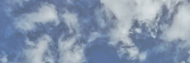 r banner