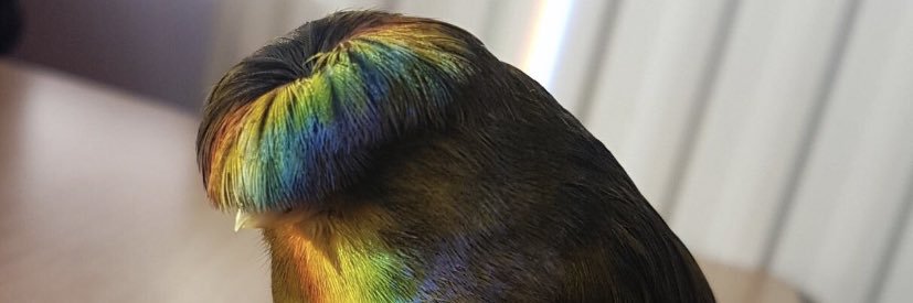 Sthor21's profile banner image