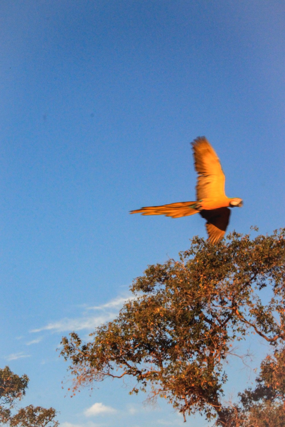 tacillacalado's profile banner image