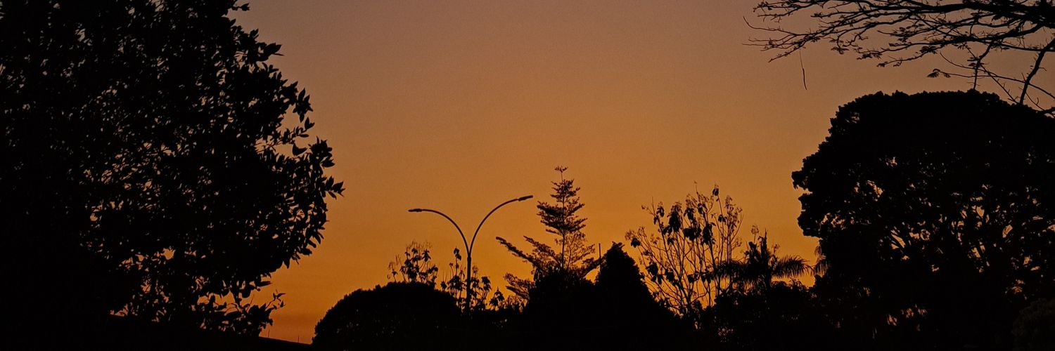 Luthfisw_'s profile banner image