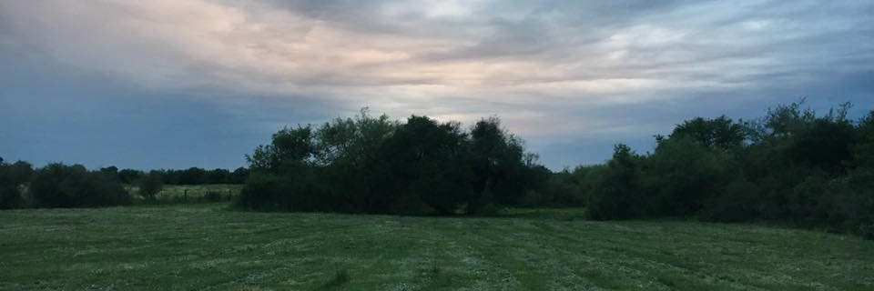 santospatri's profile banner image