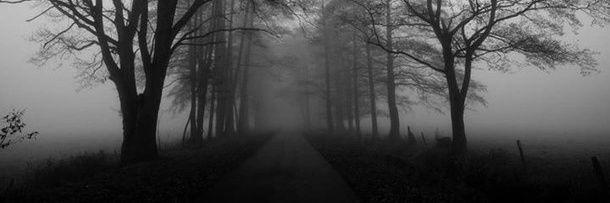 MARYBELL OFFICIAL banner