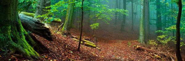 NatalieSpires Profile Banner