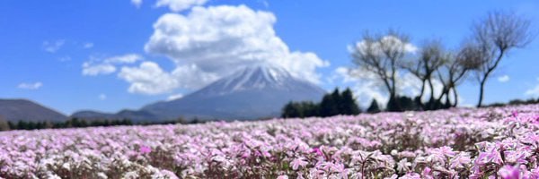 Edervan7's profile banner image