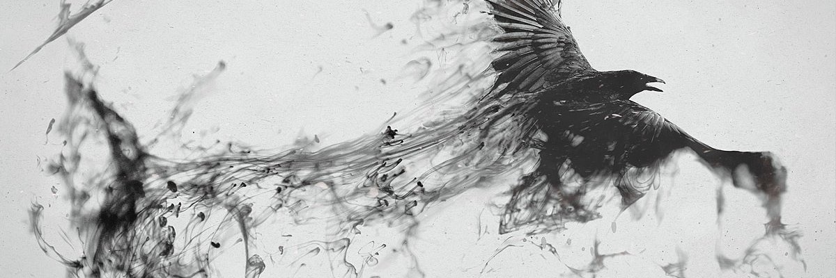 DomyMuse's profile banner image