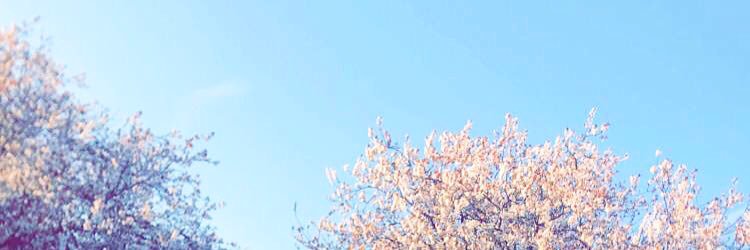maddyhilll's profile banner image