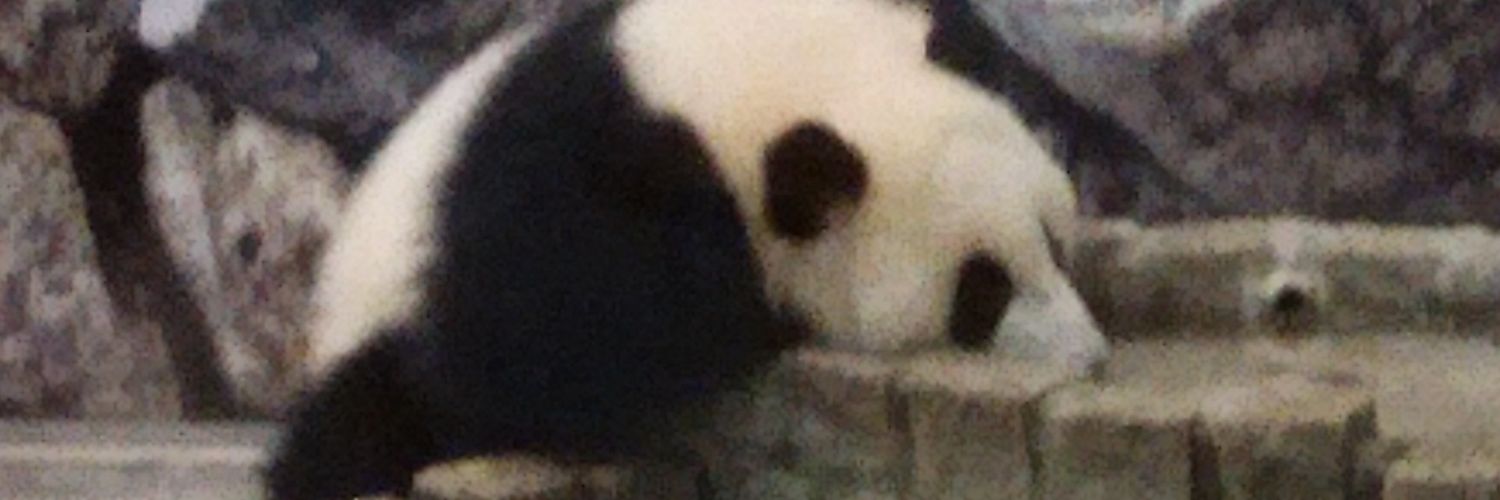boimen11's profile banner image