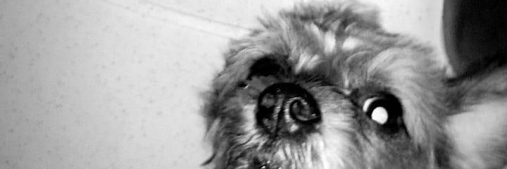 kmdyyyy's profile banner image