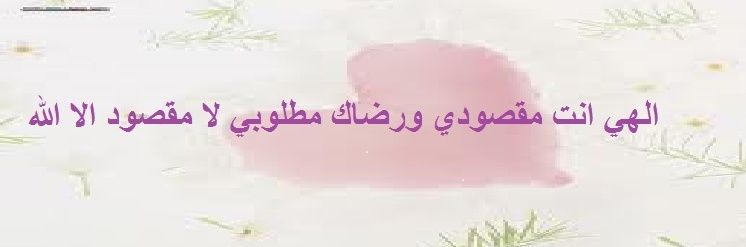 mukhbitinn's profile banner image