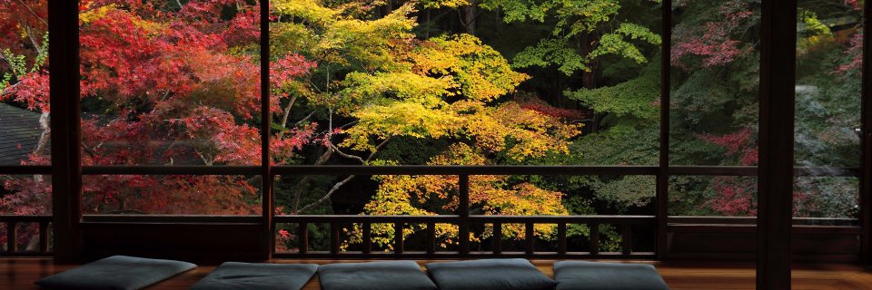 tsugumin_egst's profile banner image