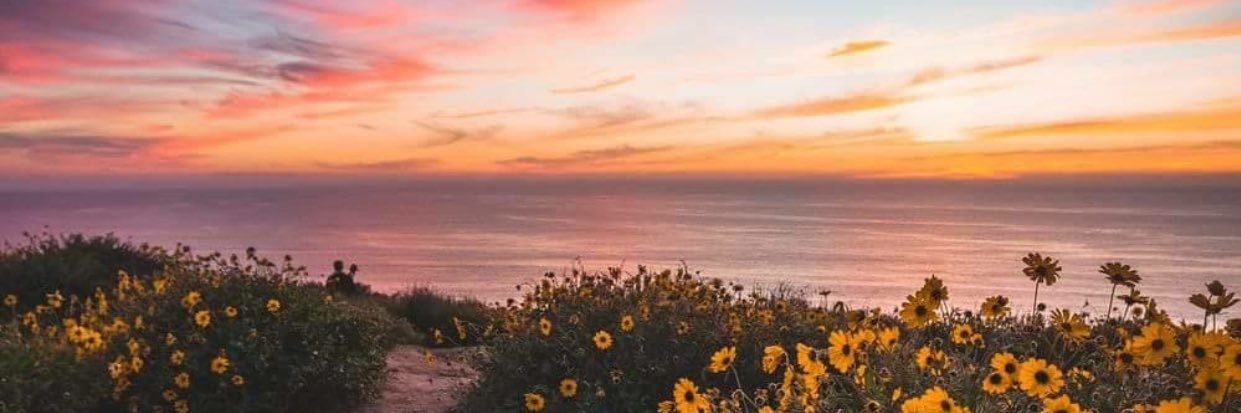 brizzylyn19's profile banner image
