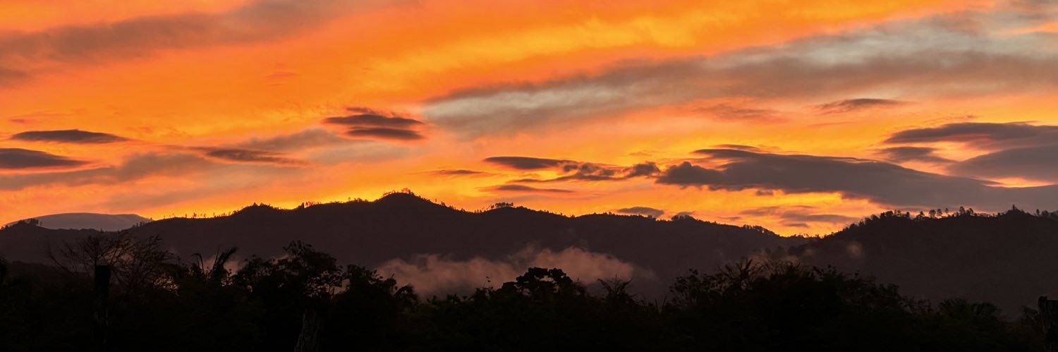 MDarioC's profile banner image