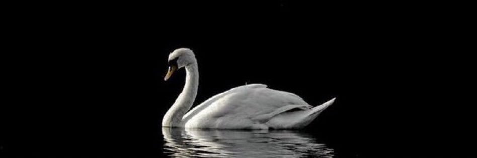 د.هيله banner