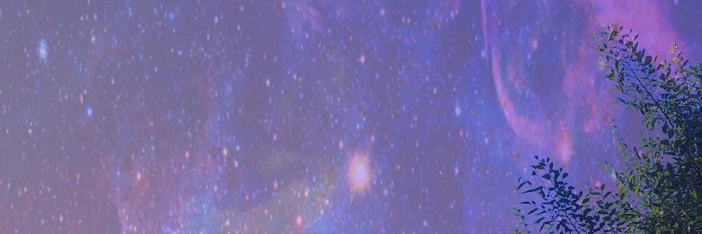 Ffightinglit's profile banner image