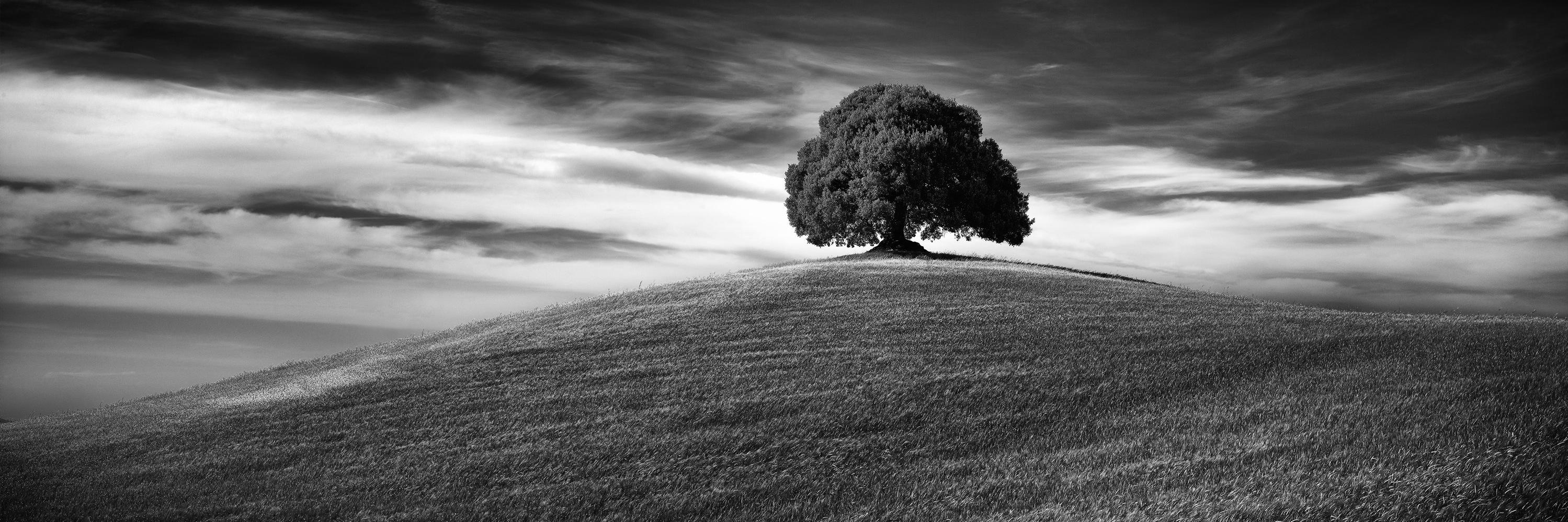 edcooleygallery's profile banner image