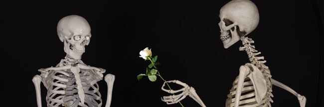 Amanda banner