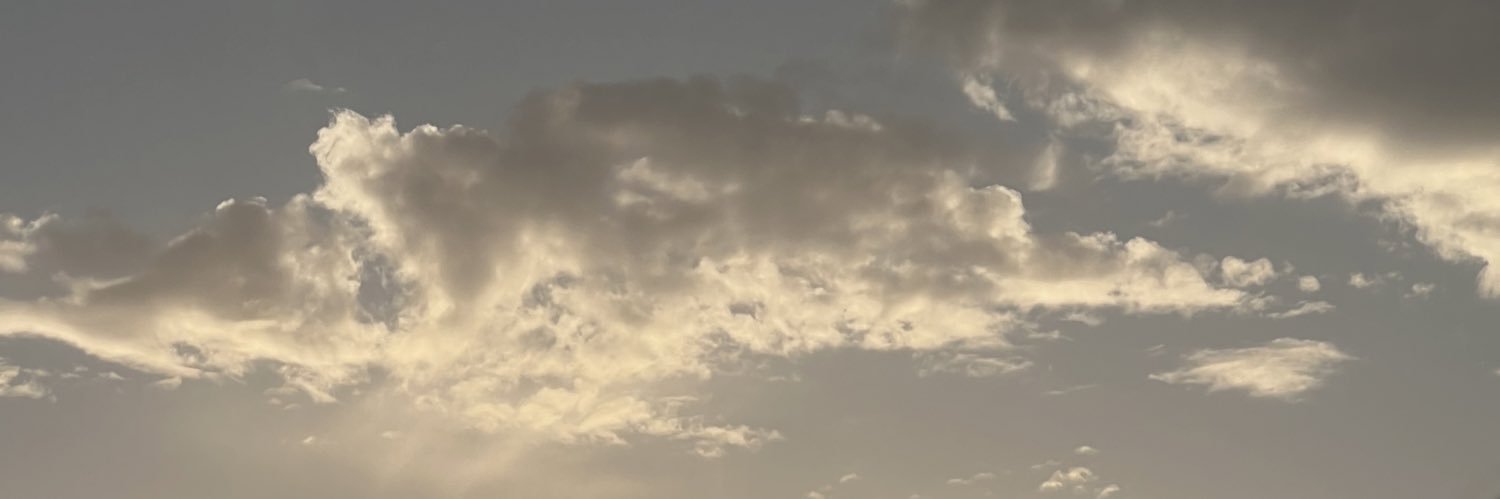 vanessa banner
