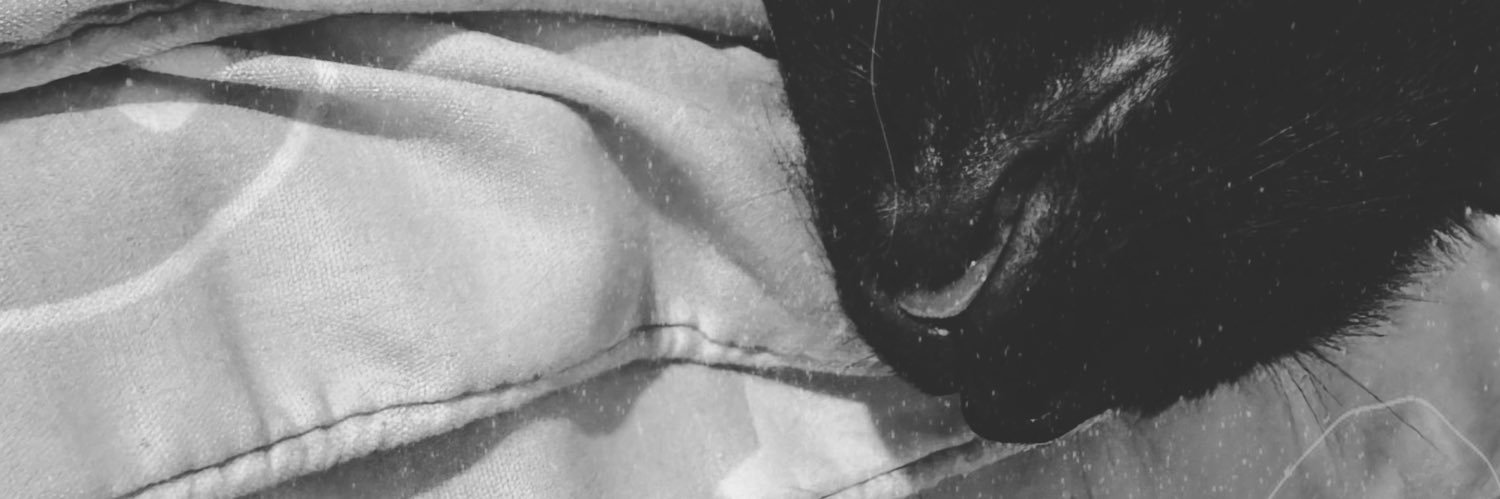YPTN_93's profile banner image