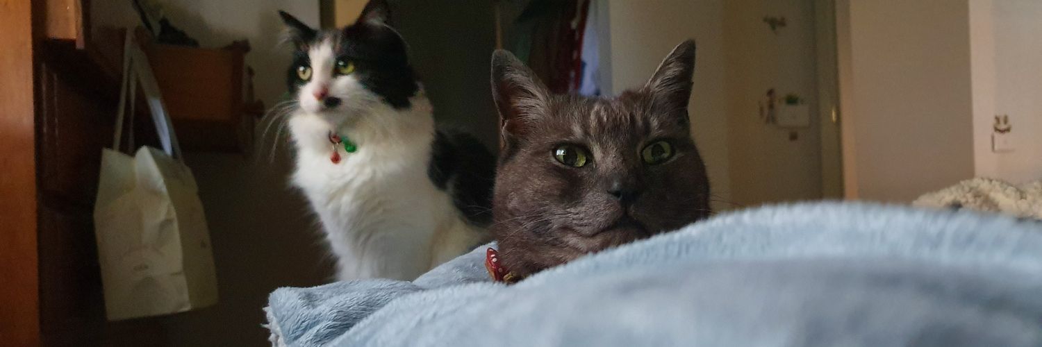 lovepdcc's profile banner image