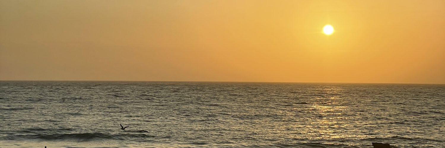 mspiura's profile banner image