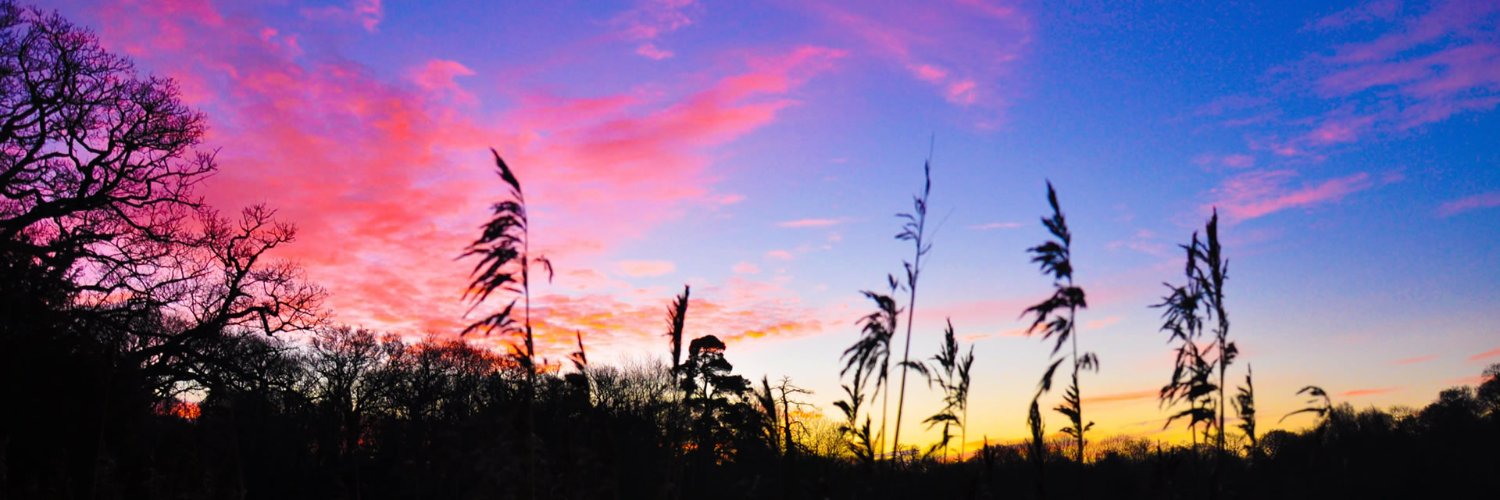 yhungsnap's profile banner image