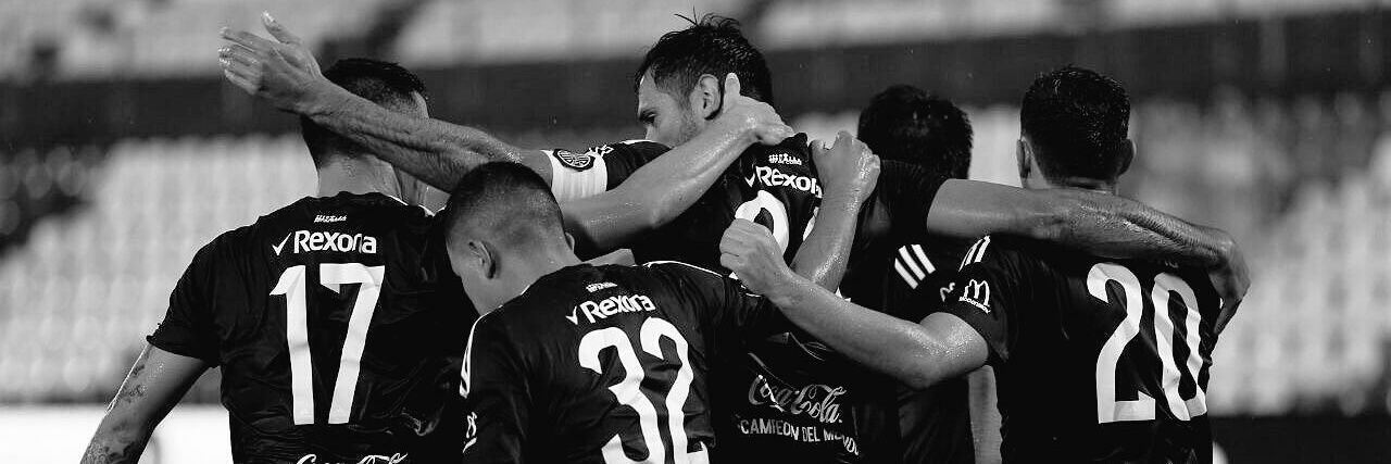 cacereale's profile banner image