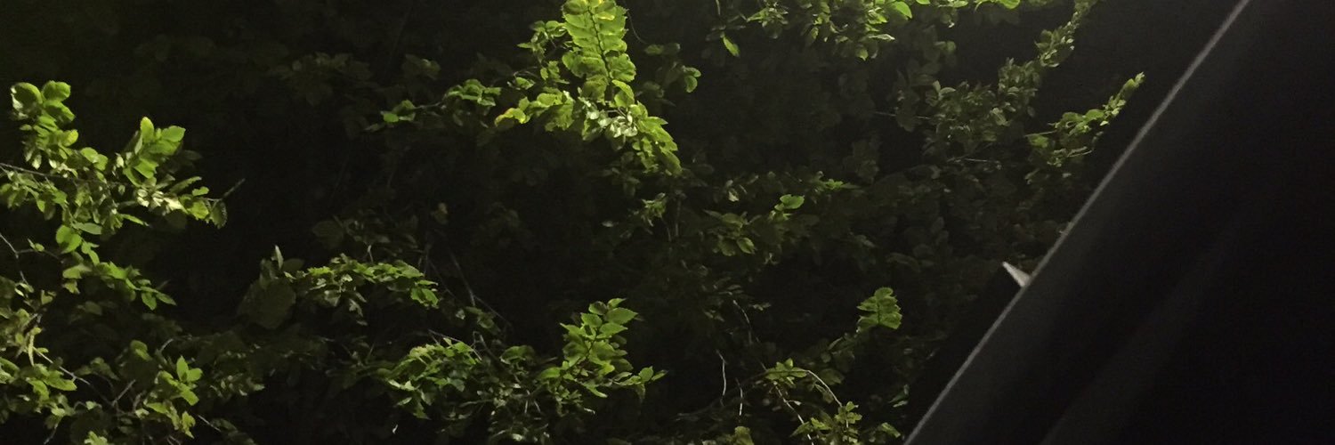 NicoleFiller's profile banner image
