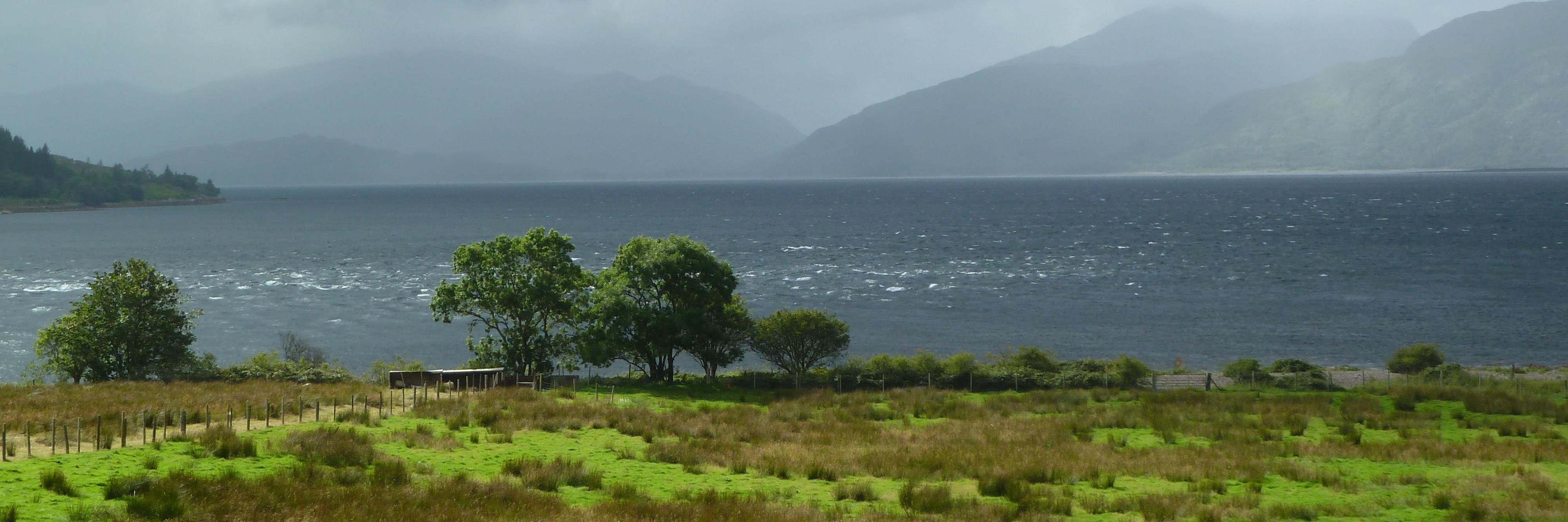 adrienponsard's profile banner image