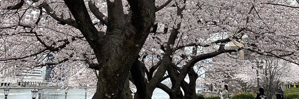 DrAdilbay Profile Banner