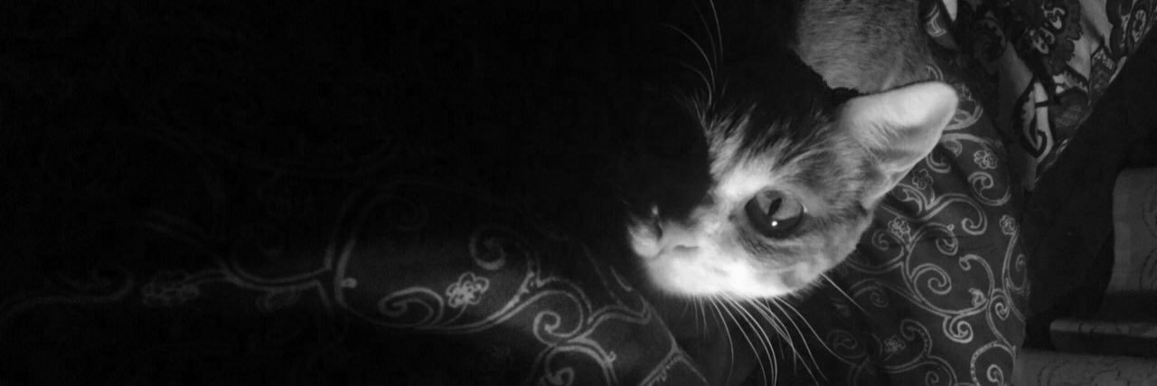 lolapppp's profile banner image
