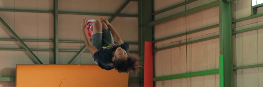 MiraiZ's profile banner image