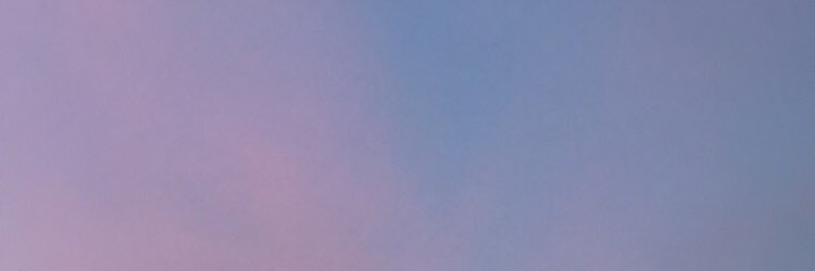Chloe Jarnot banner