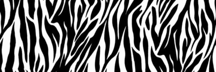 msroseRRE's profile banner image