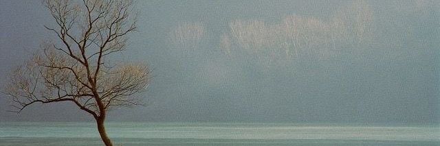 Cyrfene's profile banner image