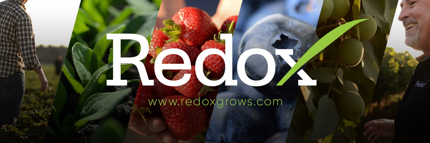 Redox banner