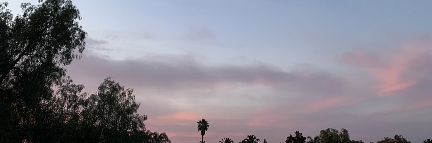 hannahntran's profile banner image