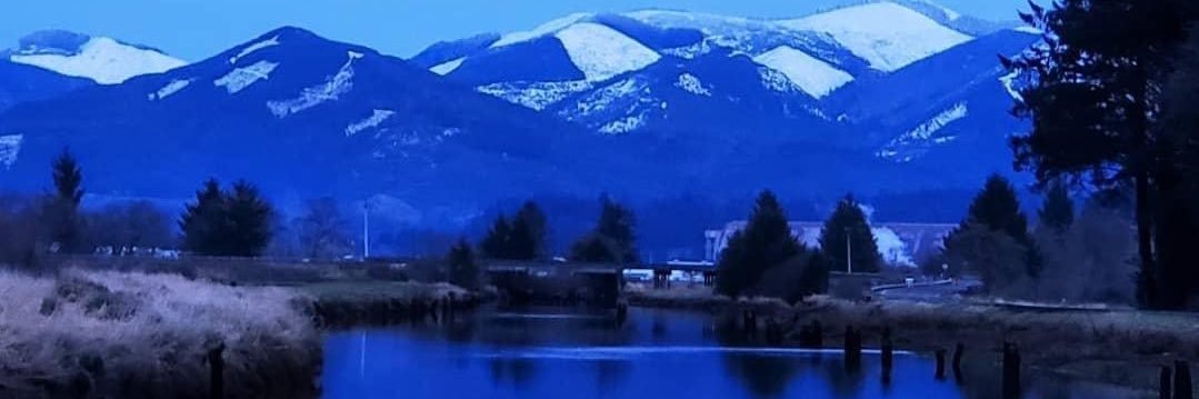 debbie 🏒⚾️🏈 banner