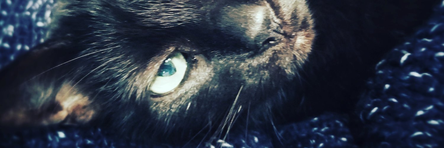 bridays28's profile banner image