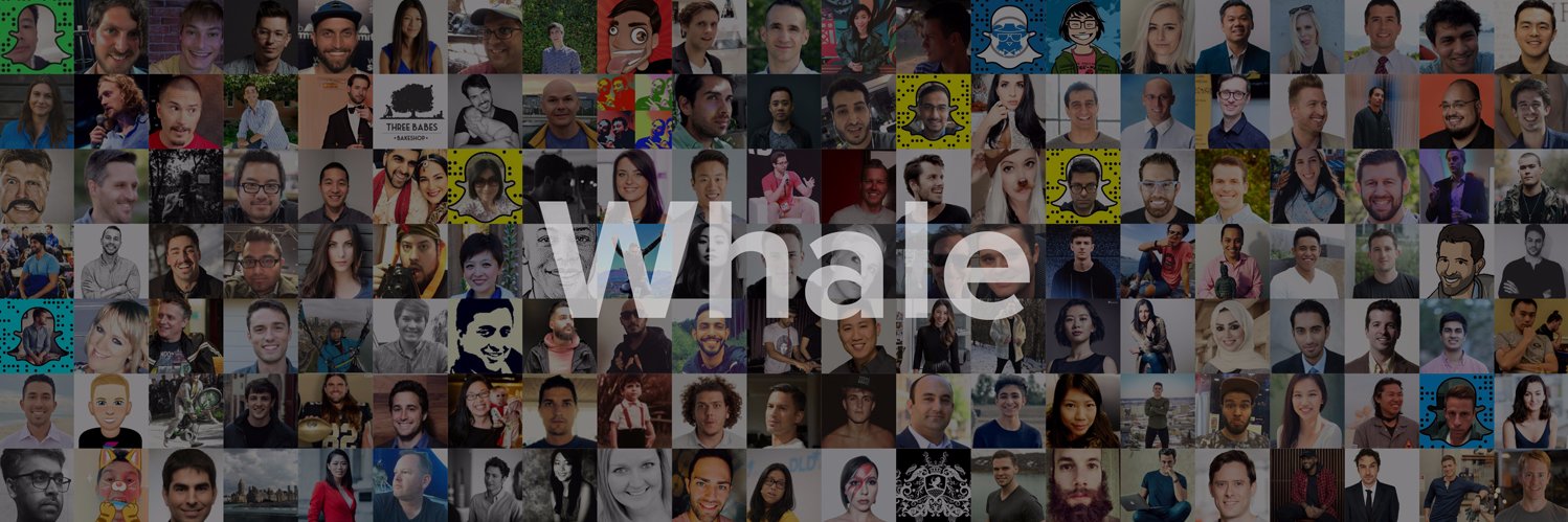 Whale banner