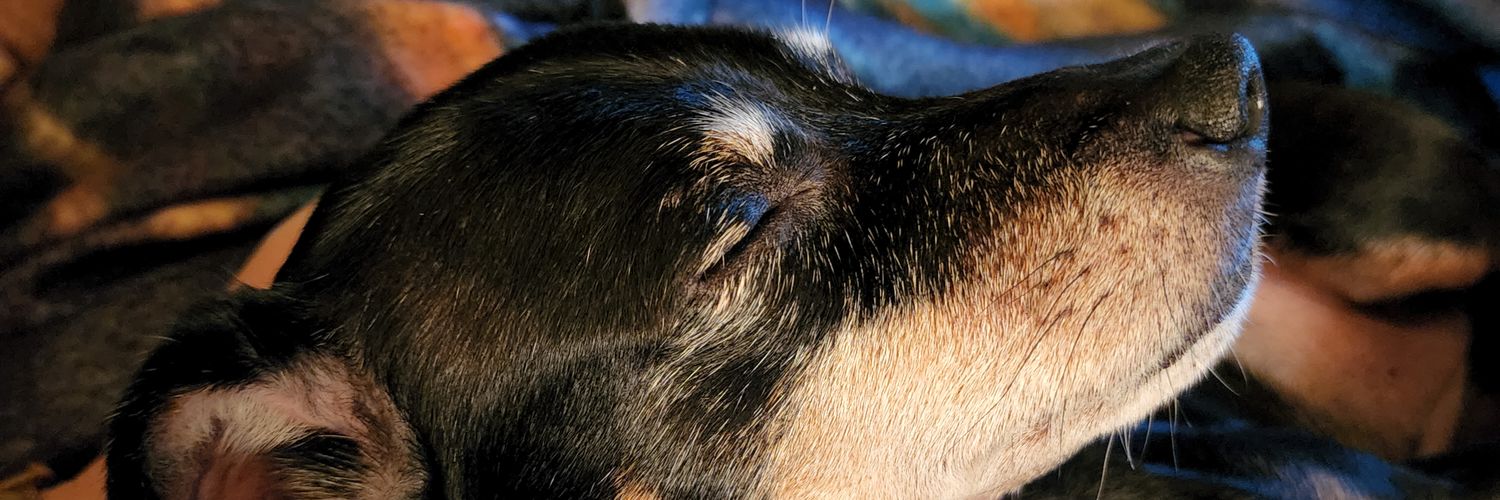 AramisMom's profile banner image