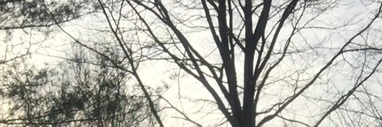 AudreyFriestad's profile banner image