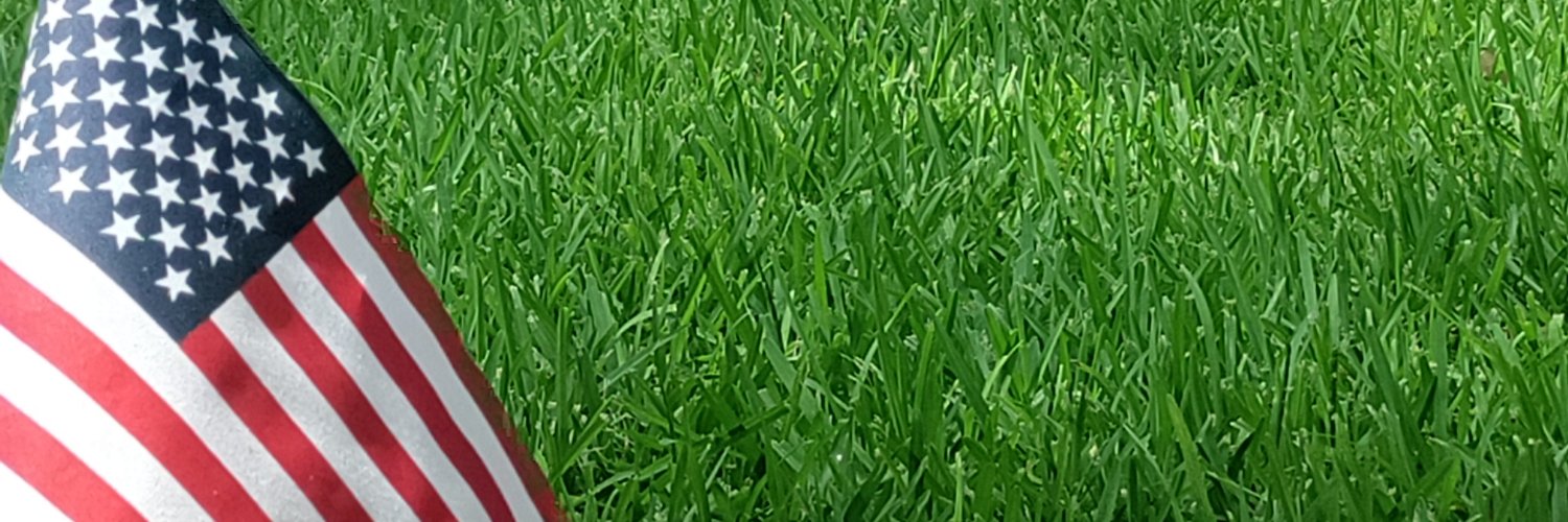 Robert_Buzz0's profile banner image