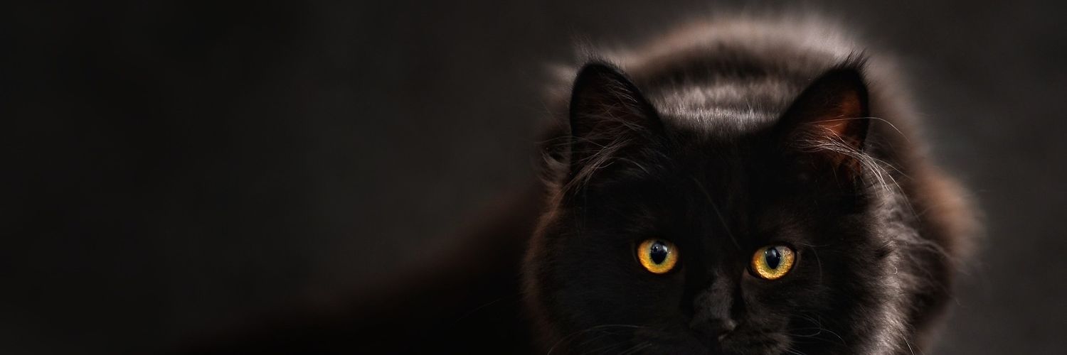 kranctus's profile banner image